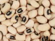 eyed-peas-seeds-500x500-2
